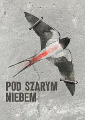 Pod szarym niebem / Pod szarym niebem