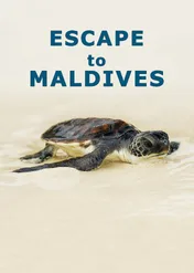 Escape to Maldives / Escape to Maldives