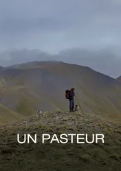A Shepherd / A Shepherd