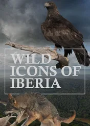 Ikony Półwyspu Iberyjskiego / Wild Icons of Iberia