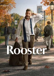 Rooster / Rooster