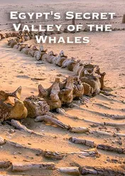 Egipt: dolina wielorybów / Egypt's Secret Valley of the Whales