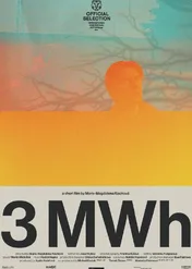 3 MWh / 3MWh