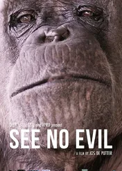 Nie widzą zła / See No Evil