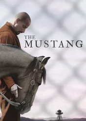 Mustang / The Mustang