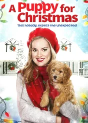 Piesek pod choinkę / A Puppy for Christmas