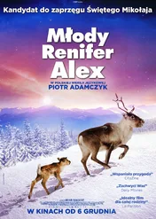 Młody renifer Alex / A Reindeer's Journey