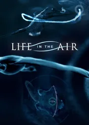 Life in the Air / Life in the Air