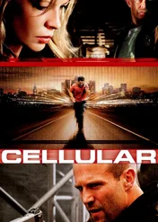 Komórka / Cellular