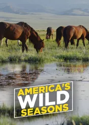 Pory roku w Ameryce / America's Wild Seasons