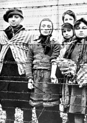 Dzieci odebrane Hitlerowi / Cheating Hitler