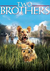 Dwaj bracia / Two Brothers