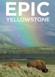 Niesamowite Yellowstone / Epic Yellowstone