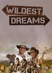Wildest Dreams / Wildest Dreams