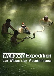 Wallacea: Wyprawa do kolebki życia pod wodą / Wallacea - Expedition zur Wiege der Meeresfauna