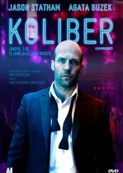 Koliber / Hummingbird