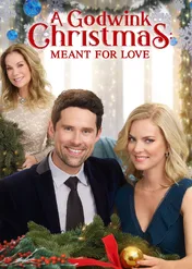 Zapisane w gwiazdach / A Godwink Christmas: Meant For Love