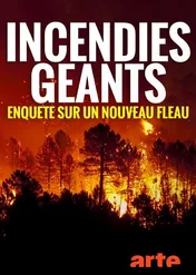 Megapożary / Megafires: the global threat