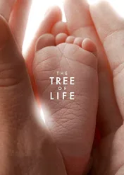 Drzewo życia / The Tree of Life