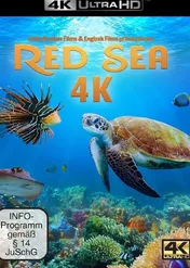 Morze Czerwone / Red Sea
