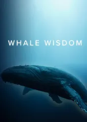 Mądrość wielorybów / Whale Wisdom