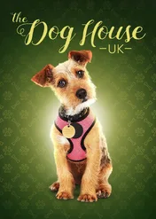 Dom dla psa / The Dog House: UK