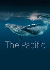 Pacyfik / The Pacific