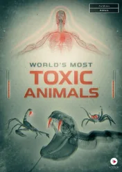 Najbardziej toksyczne zwierzęta / World's most toxic animals
