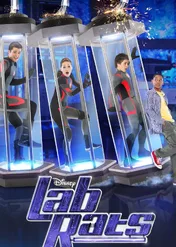Szczury laboratoryjne / Lab Rats