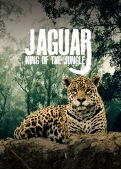 Jaguar: King Of The Jungle / Jaguar: King of the Jungle
