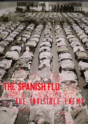 Hiszpanka: niewidzialny wróg / The Spanish Flu: The Invisible Enemy