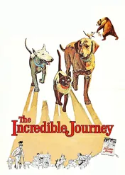 200 mil do domu / The Incredible Journey