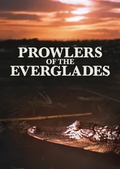 Prowlers of the Everglades / Prowlers of the Everglades