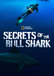 Sekretne życie żarłaczy / Secrets of the Bull Shark