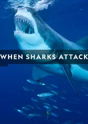 Atak rekina / When Sharks Attack