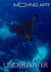 Moving Art: Underwater / Moving Art: Underwater
