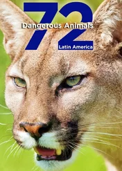 72 niebezpieczne zwierzęta: Ameryka Łacińska / 72 Dangerous Animals: Latin America