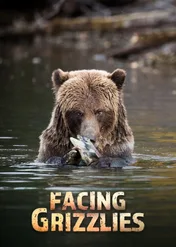 Spotkania z niedźwiedziem grizzly / Facing Grizzlies