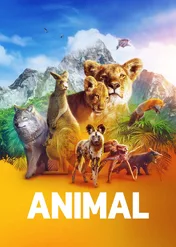 Zwierzęta z bliska / Animal