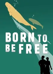 Born to Be Free / Born to Be Free