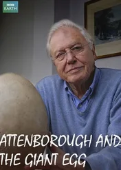 Attenborough & The Giant Egg / Attenborough & The Giant Egg