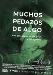 Muchos pedazos de algo / Muchos pedazos de algo