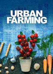 Urban Farming / Urban Farming