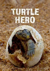 Turtle Hero / Turtle Hero