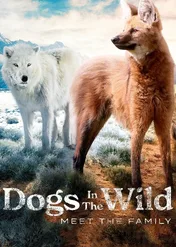 Dzikie psy / Dogs in the Wild: Meet the Family