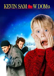 Kevin sam w domu / Home Alone