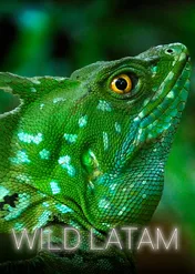 Dzika Ameryka Łacińska / Wild Latam