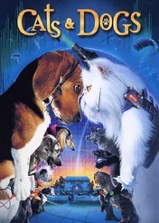 Psy i koty / Cats & Dogs