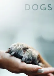 Psy / Dogs