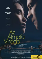 Kwiat jabłoni / Az almafa virága